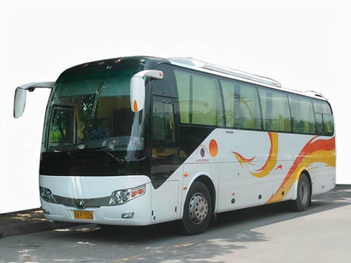 國慶租車首選泰州中航租車，專業服務助力便捷出行